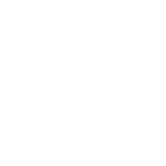 logo-pin
